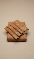 Cinnamon Clay Chiffon Saree with Elegant Pattern